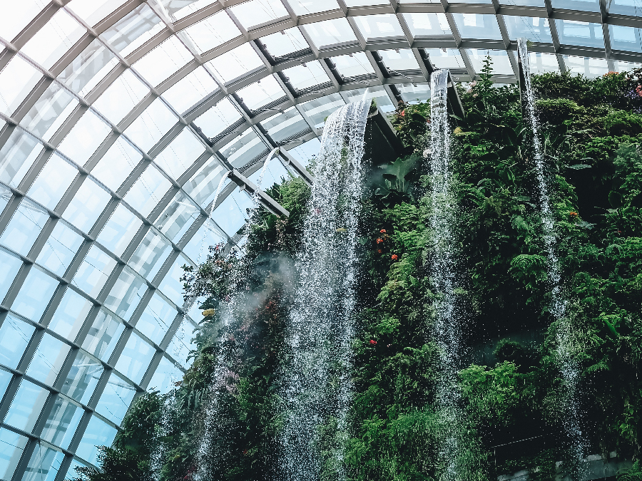 waterfall at cloud forest in gardens by the bay
